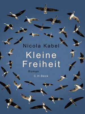 cover image of Kleine Freiheit